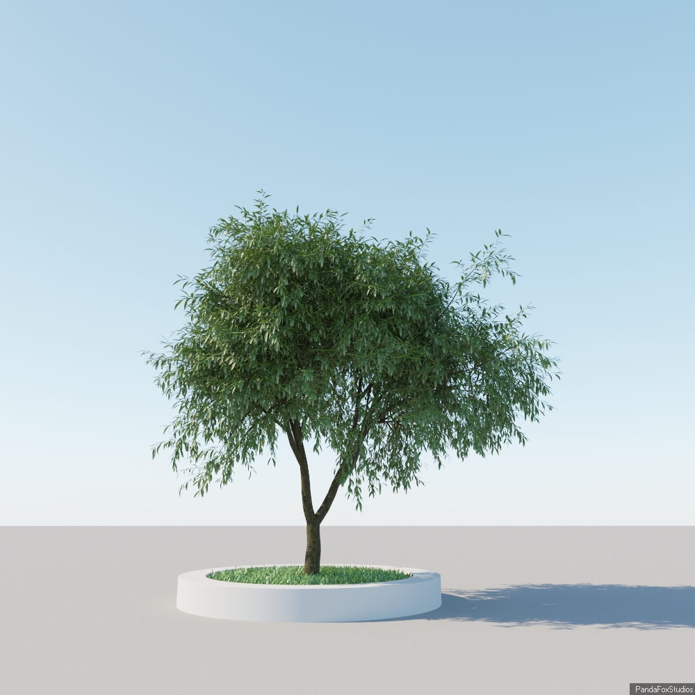 Free 3D Tree Model